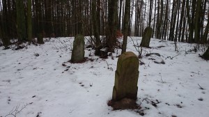 Cisowy stary cmentarz 2